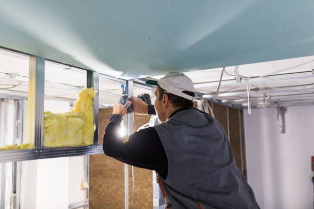 Best Insulation Installation Services in Dalton Gardens, ID